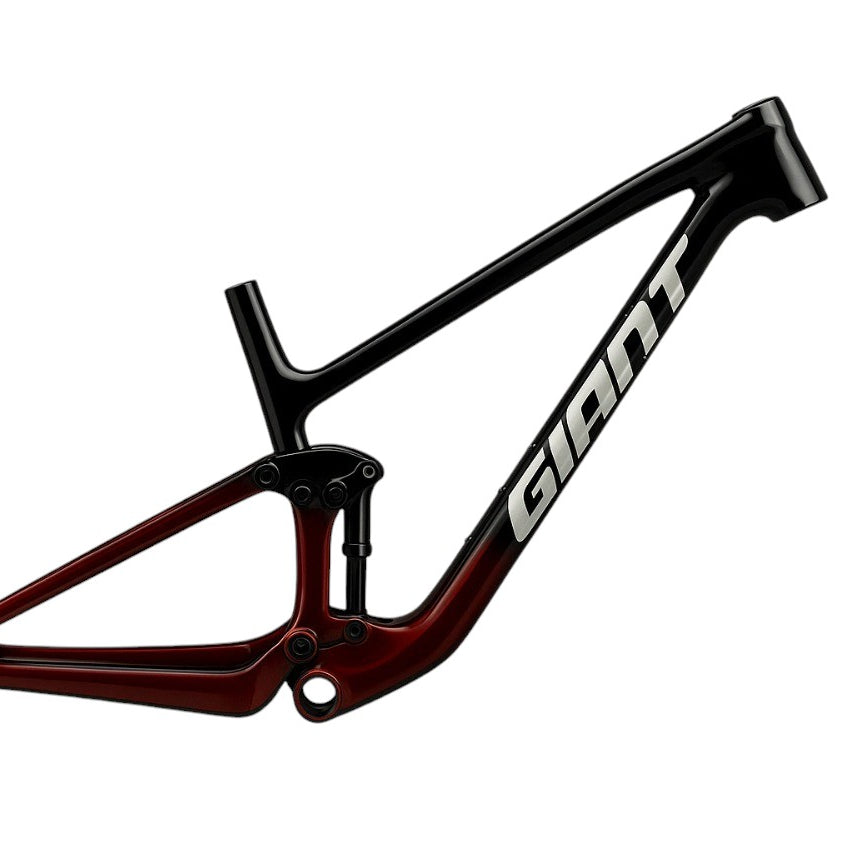 Anthem Advanced 29 4 (Cuadro)