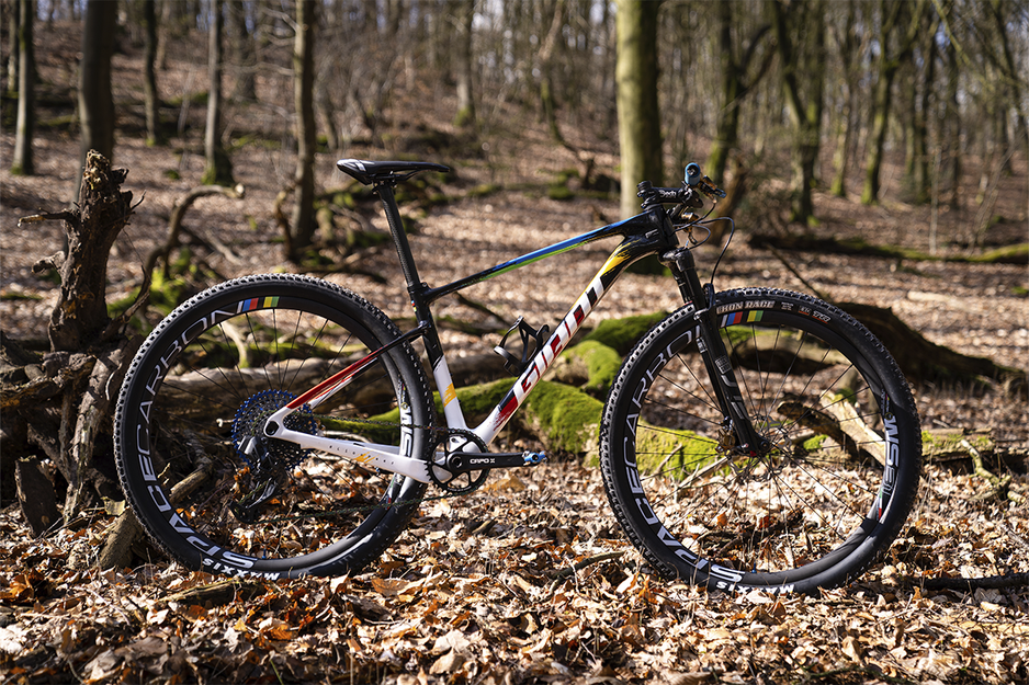 Cuadro best sale giant 29