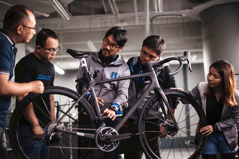 Cuadro giant discount tcr