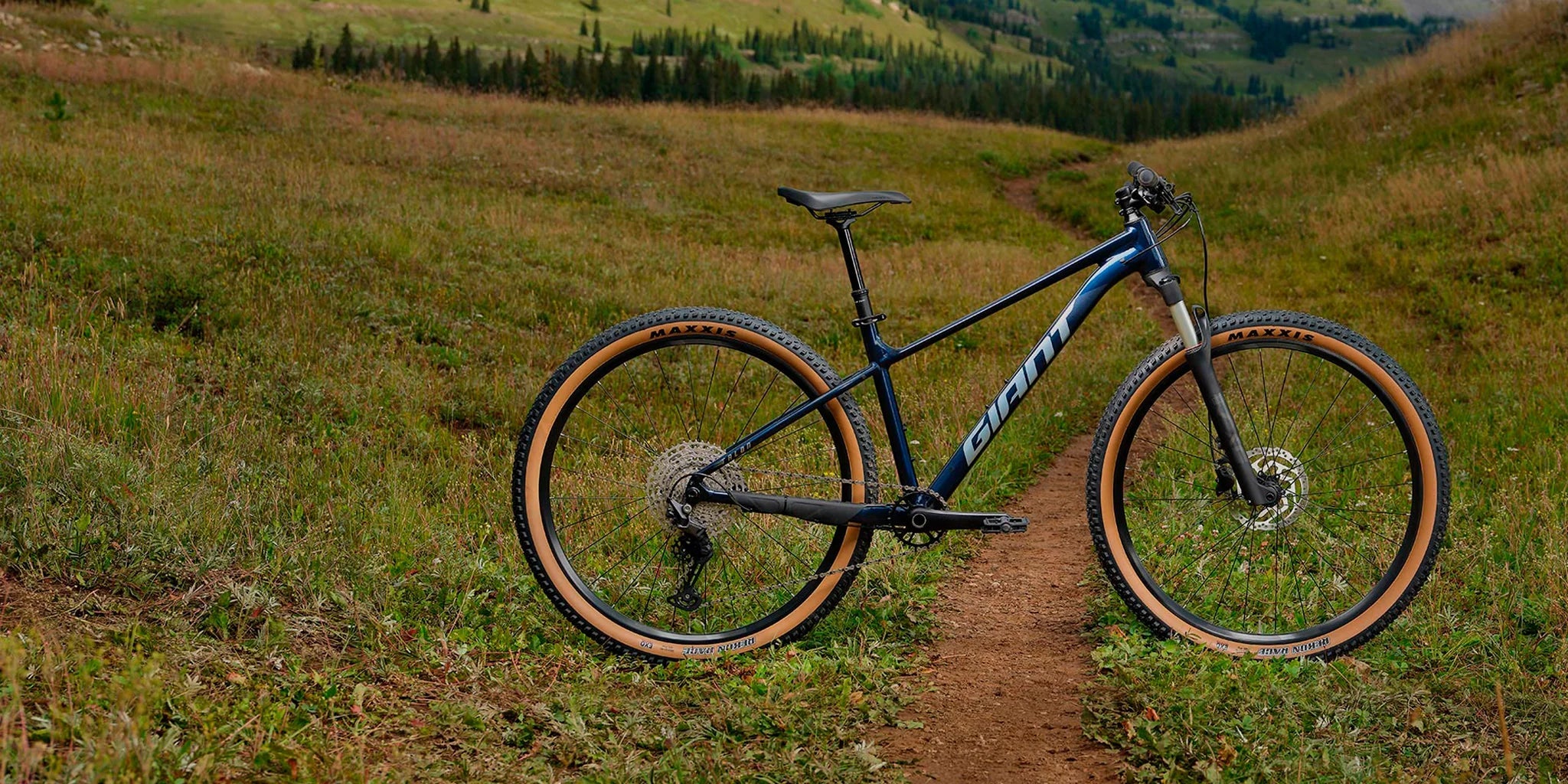 Talon - Blaze New Trails