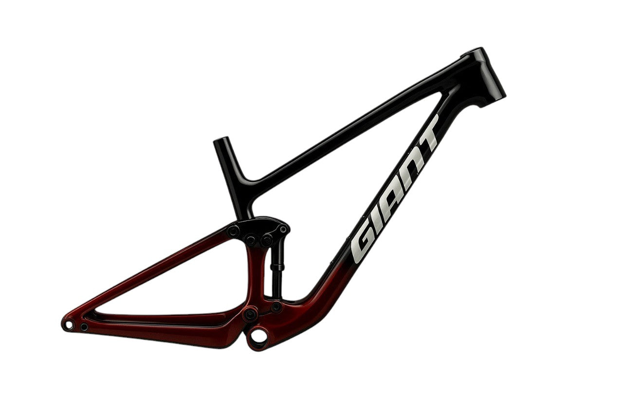 Anthem Advanced 29 4 (Cuadro)