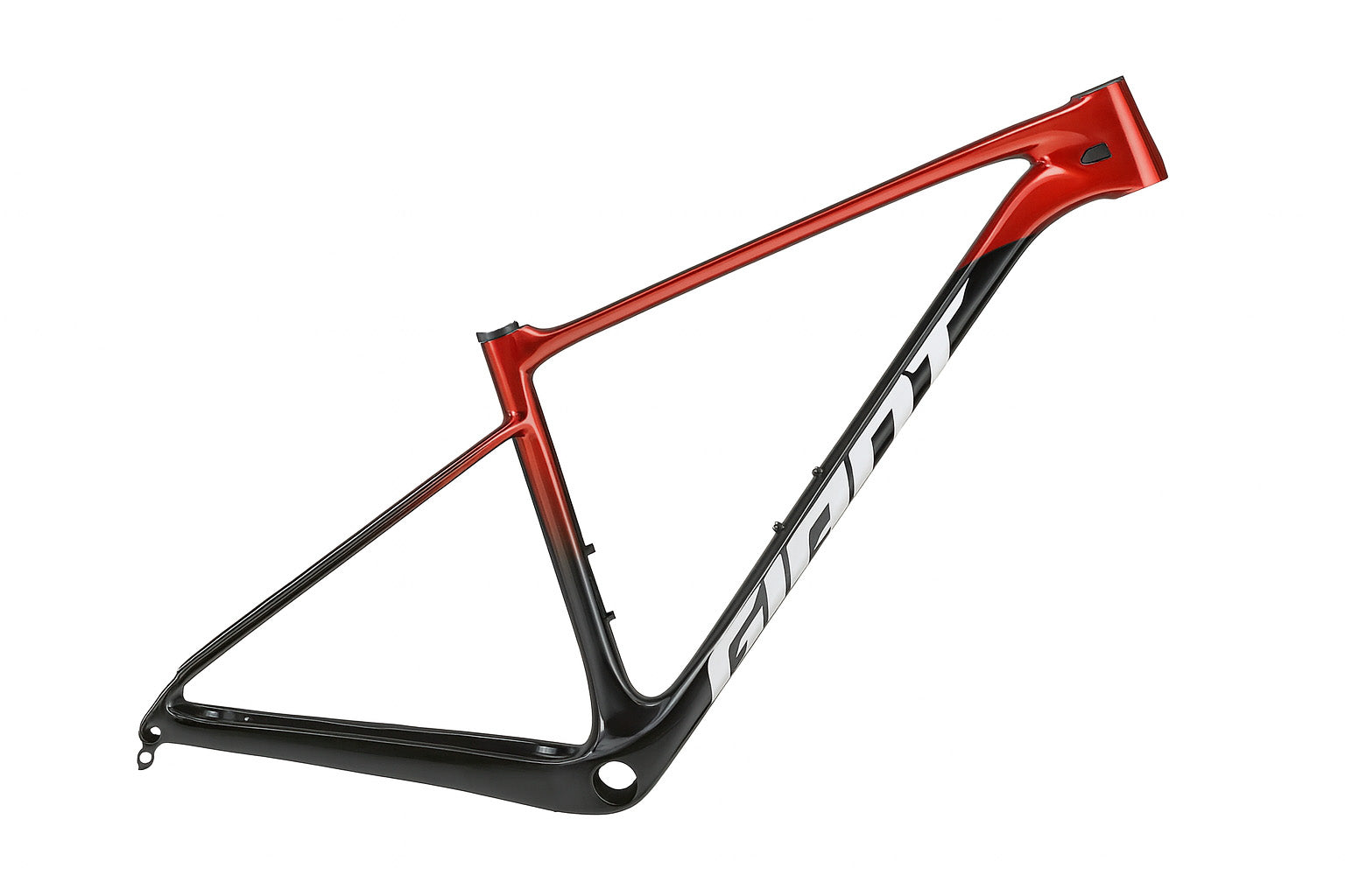 Cuadro XTC Advanced 29