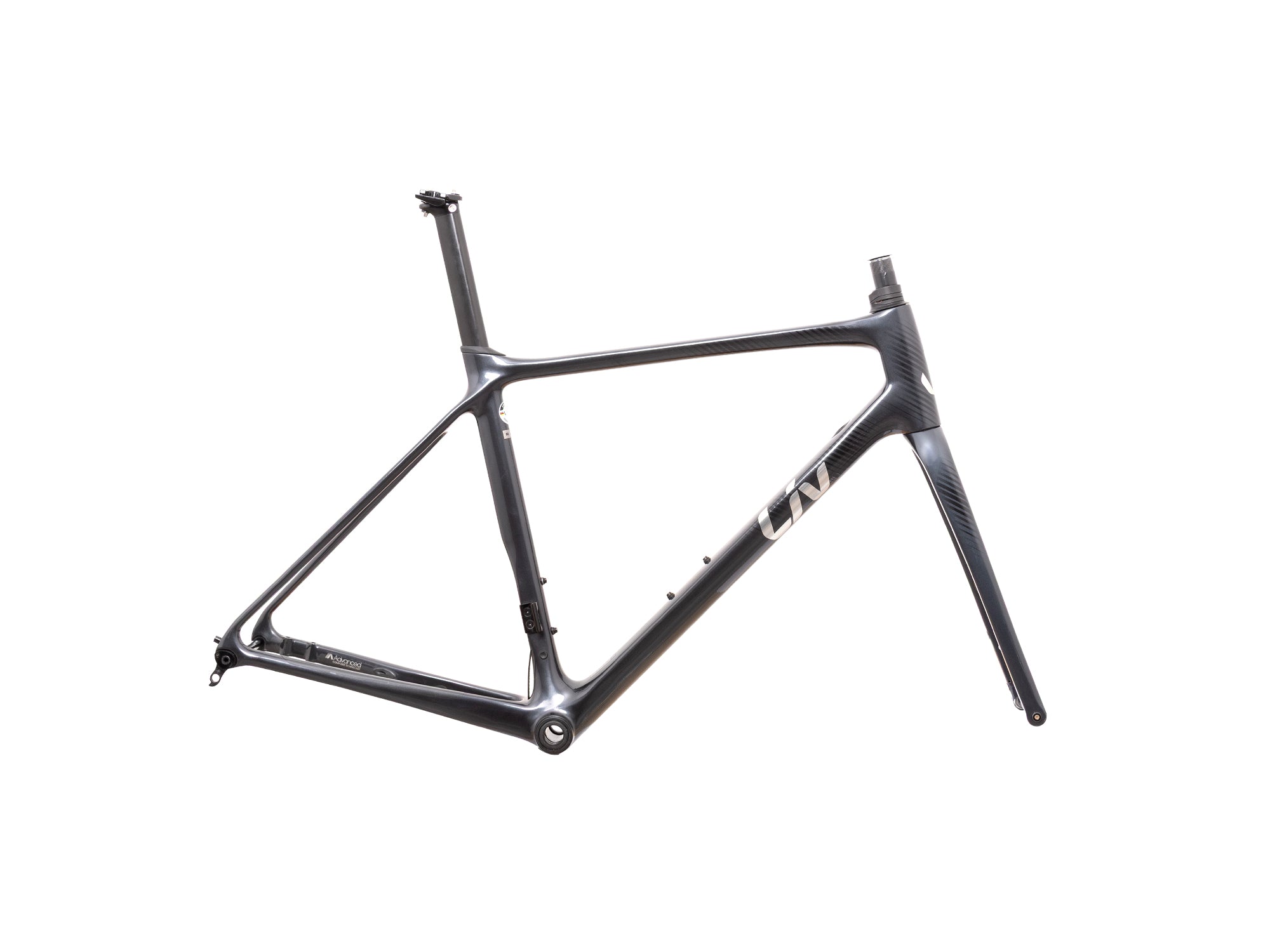 Cuadro Langma Advanced (M) 2022