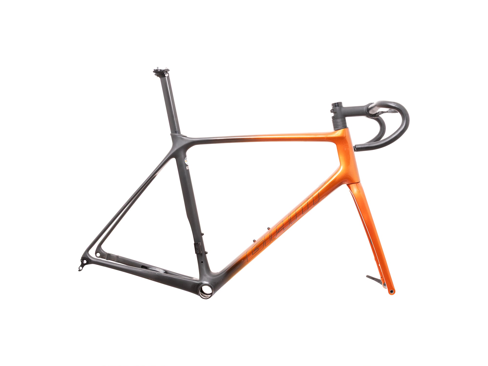 Cuadro TCR Advanced Pro 0 (L) 2022